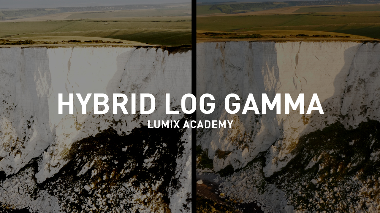 Hybrid Log Gamma